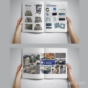 Professional Offset Paper Printing Flyer Printing Brochure